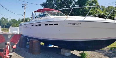 1987 ChrisCraft Amerosport 332